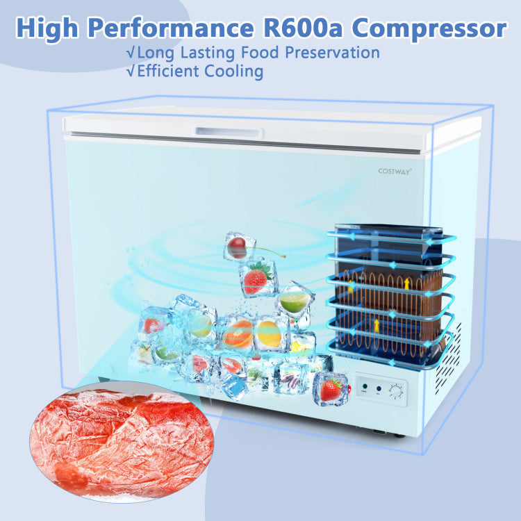 10 Cu.Ft. Chest Freezer Compact Deep Fridge Freestanding Top Open Door Refrigerator with Removable Basket and Adjustable Temperature