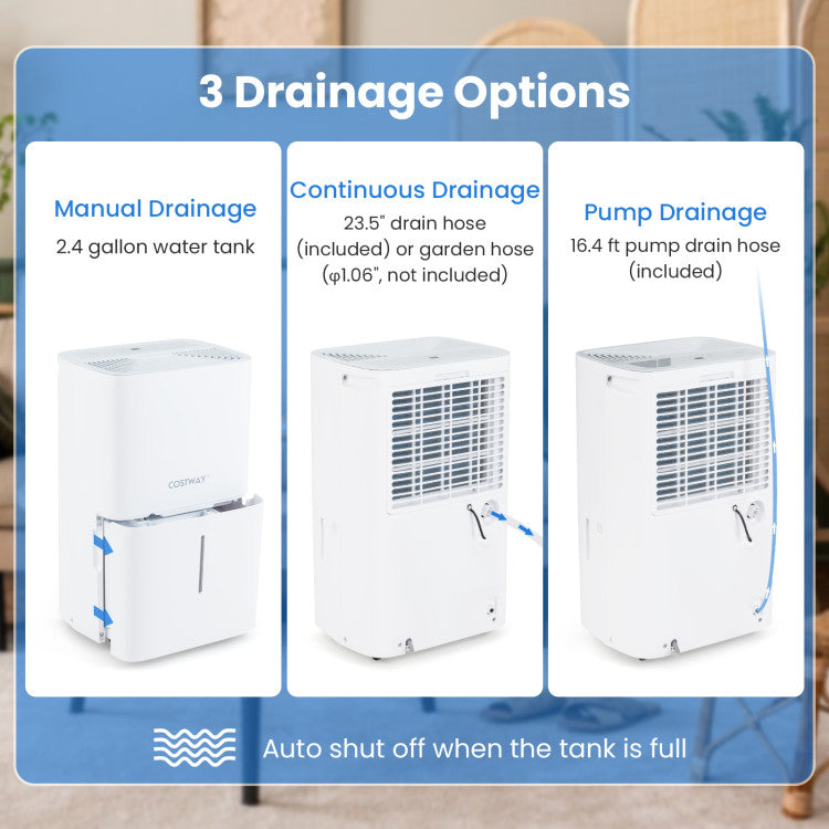 150 Pints Dehumidifier with 24H Timer and LED Display