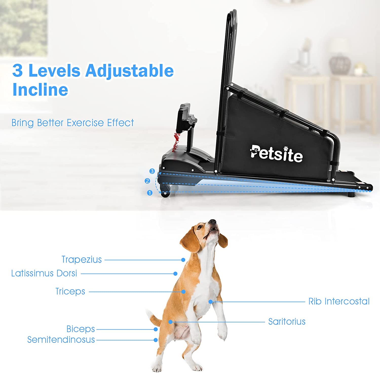 Pet Dog Treadmill Running Machine with Remote Control and LCD Display for Small/Medium-Sized Dogs