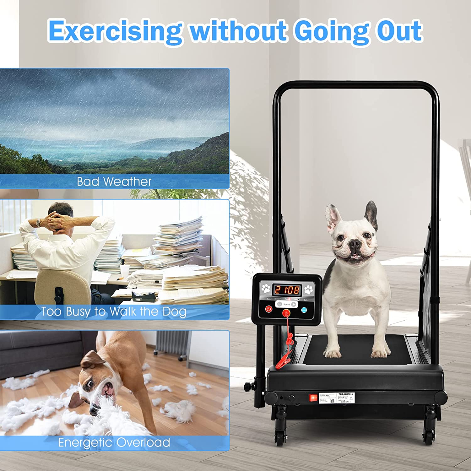 Pet Dog Treadmill Running Machine with Remote Control and LCD Display for Small/Medium-Sized Dogs