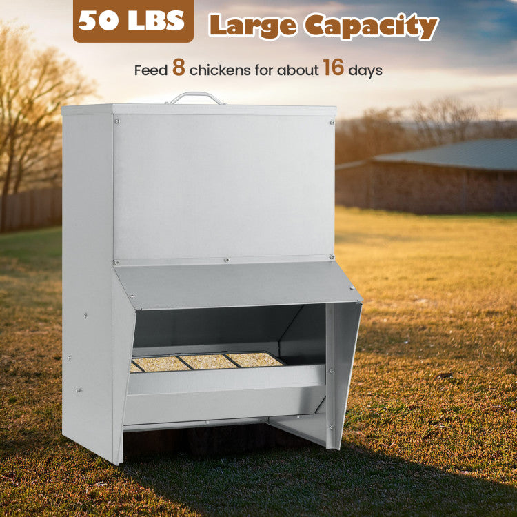 Wall Mount Galvanized Chicken Feeder 50 Pounds Capacity