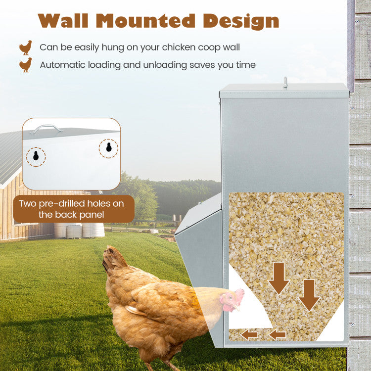 Wall Mount Galvanized Chicken Feeder 50 Pounds Capacity