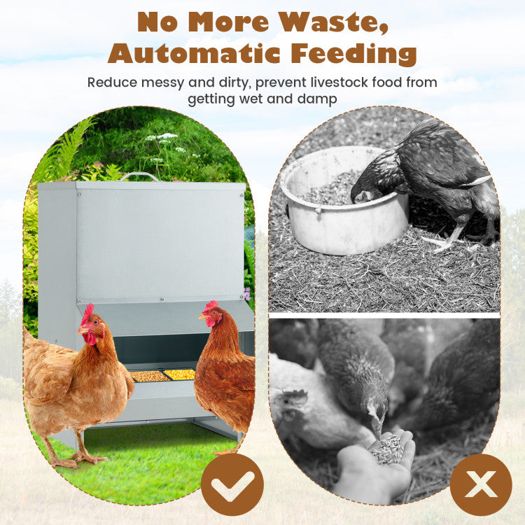 Wall Mount Galvanized Chicken Feeder 50 Pounds Capacity