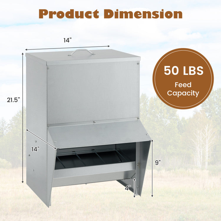 Wall Mount Galvanized Chicken Feeder 50 Pounds Capacity