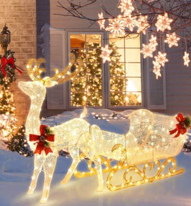 LED Christmas Light, Lighted Reindeer & Santa's Sleigh