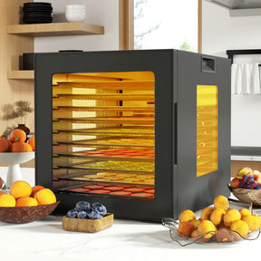 10 Stainless Steel Trays Dryer with 10 Presets