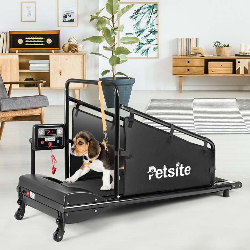 Pet Dog Treadmill Running Machine with Remote Control and LCD Display for Small/Medium-Sized Dogs