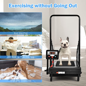 Pet Dog Treadmill Running Machine with Remote Control and LCD Display for Small/Medium-Sized Dogs