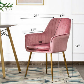 Set of 2 Dining Chairs Arm Chair with Thick Sponge Seat