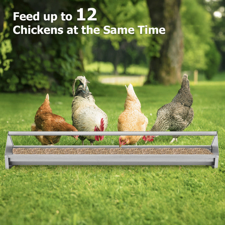 Metal Chicken Feeder Chicken Feeding Trough with Drainage Holes