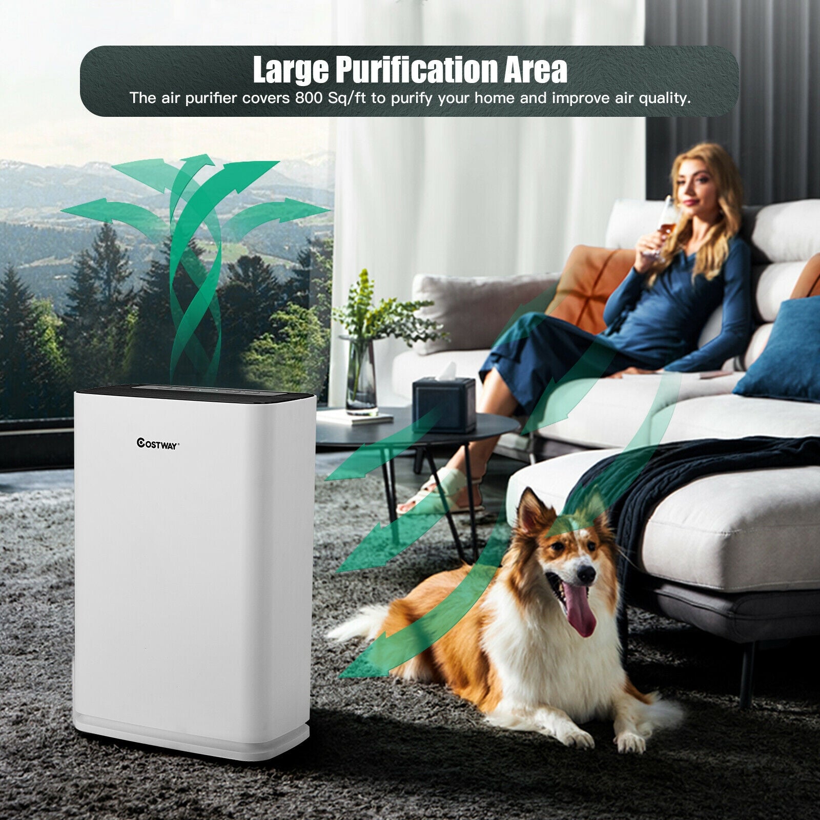 800 sq. ft Air Purifier True HEPA Filter Carbon Filter Air Cleaner for Home & Office