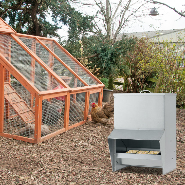 Wall Mount Galvanized Chicken Feeder 50 Pounds Capacity