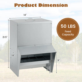 Wall Mount Galvanized Chicken Feeder 50 Pounds Capacity