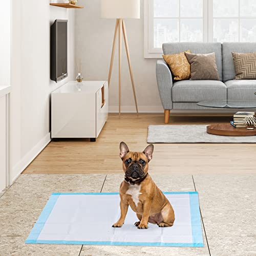 150Pcs Dog Training pads,Different Size Training Puppy Training Pads with Super Absorbent & Leak-Proof