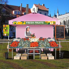 10 x 10 Feet Portable Commercial Pop-up Canopy Foldable Party Tent Awning with Detachable Sidewall and Roller Bag