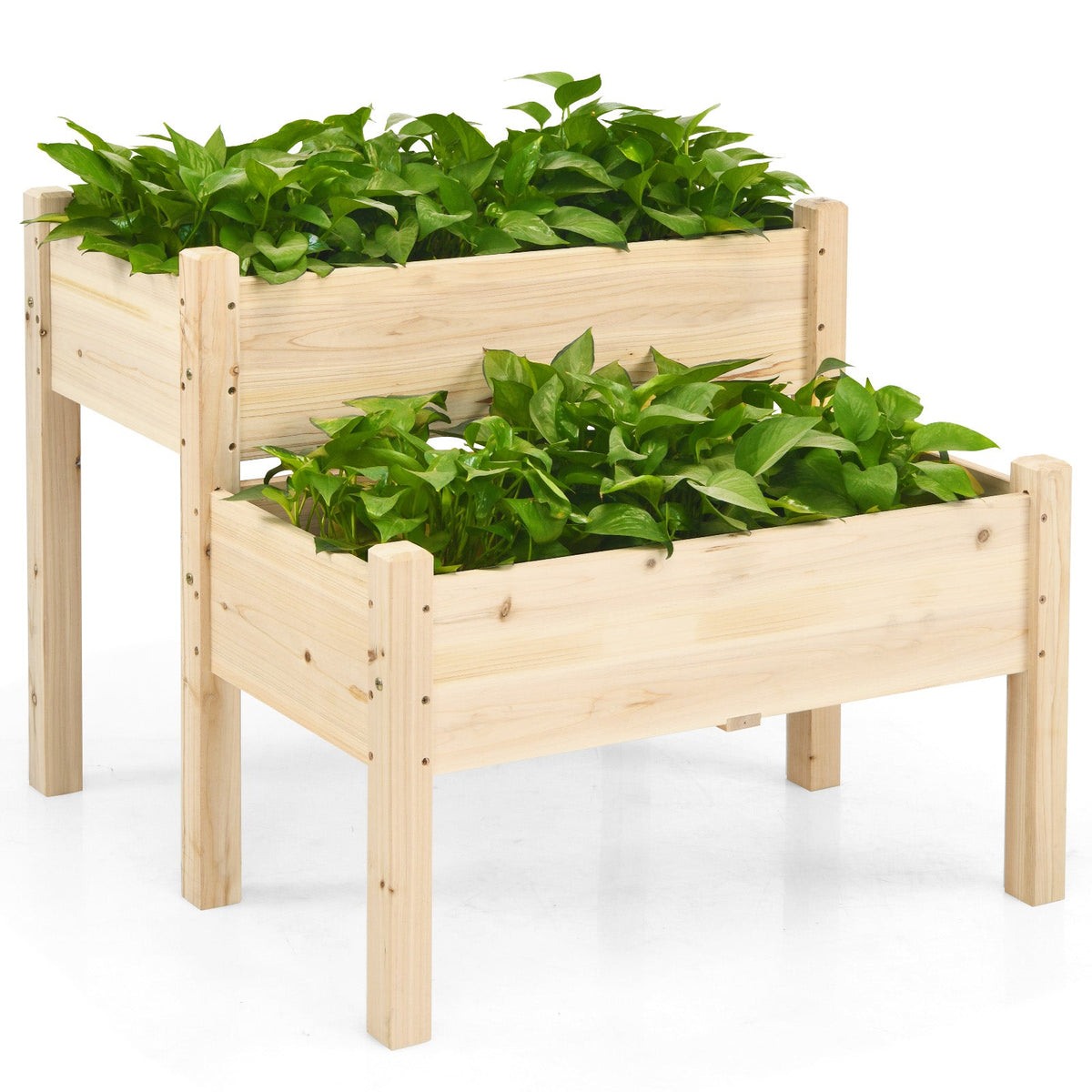 2 Tier Wooden Raised Garden Bed, Fir Wood Elevated Planter Garden Box