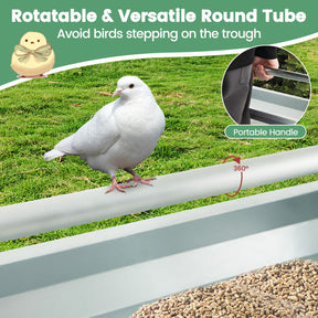 Metal Chicken Feeder Chicken Feeding Trough with Drainage Holes