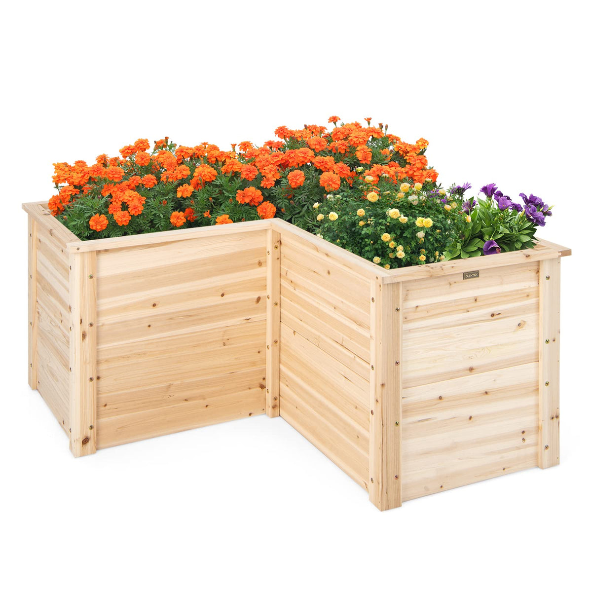 Giantex Wooden Raised Garden Bed, 62 CM Tall Outdoor Elevated Planter Box