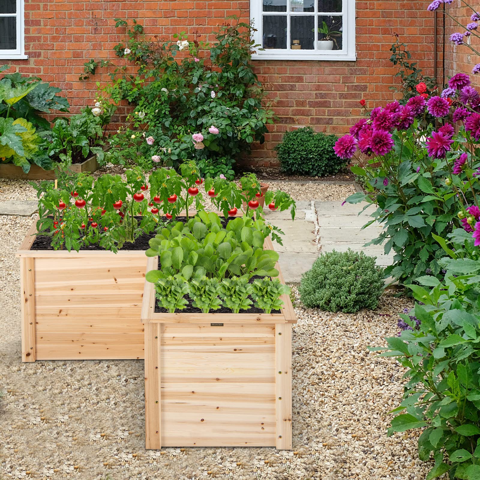 Giantex Wooden Raised Garden Bed, 62 CM Tall Outdoor Elevated Planter Box