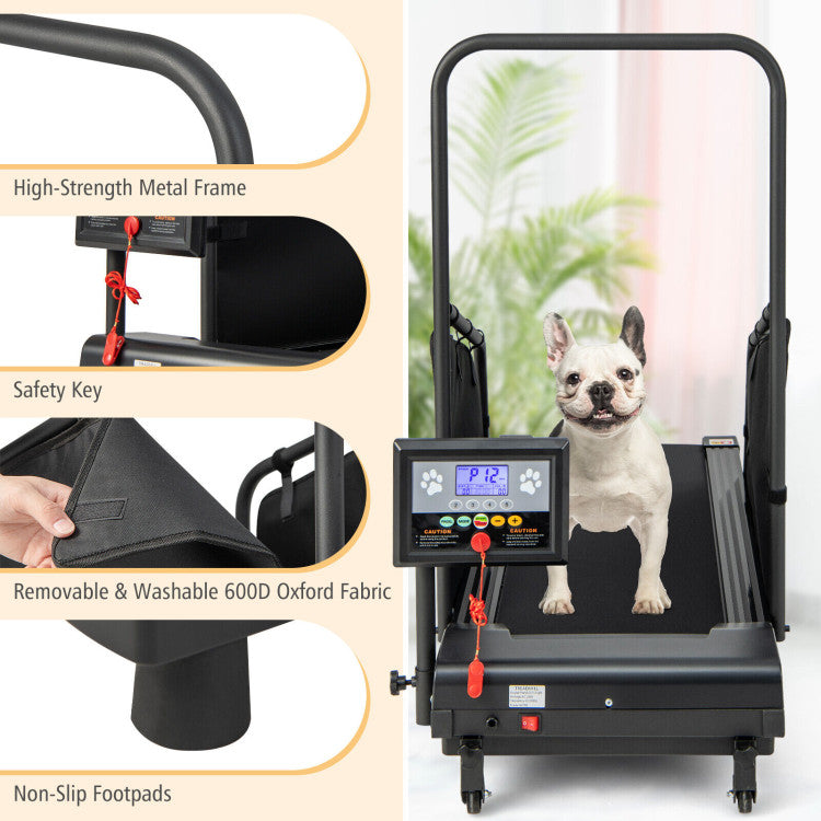 Indoor Pet Exercise Equipment with Remote Control and 3 Adjustable Base Heights