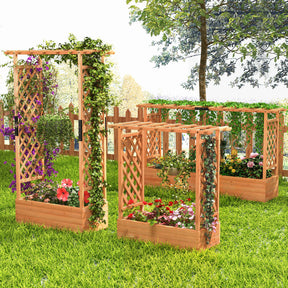 Raised Garden Bed with Arch Trellis for Indoor and Outdoor