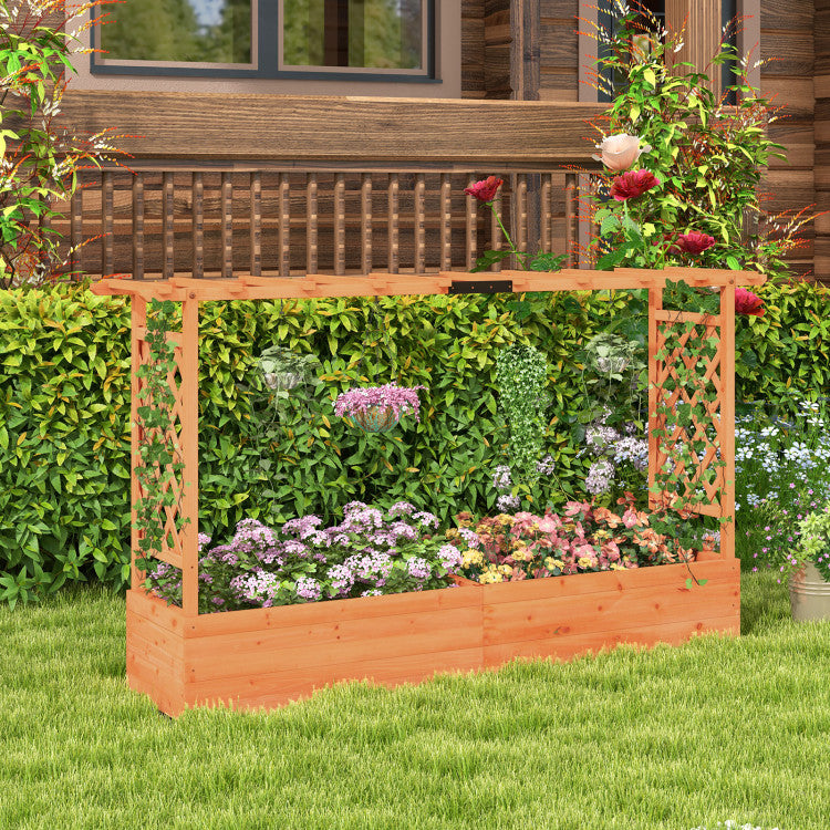 Raised Garden Bed with Side Trellis Hanging Roof and Planter Box
