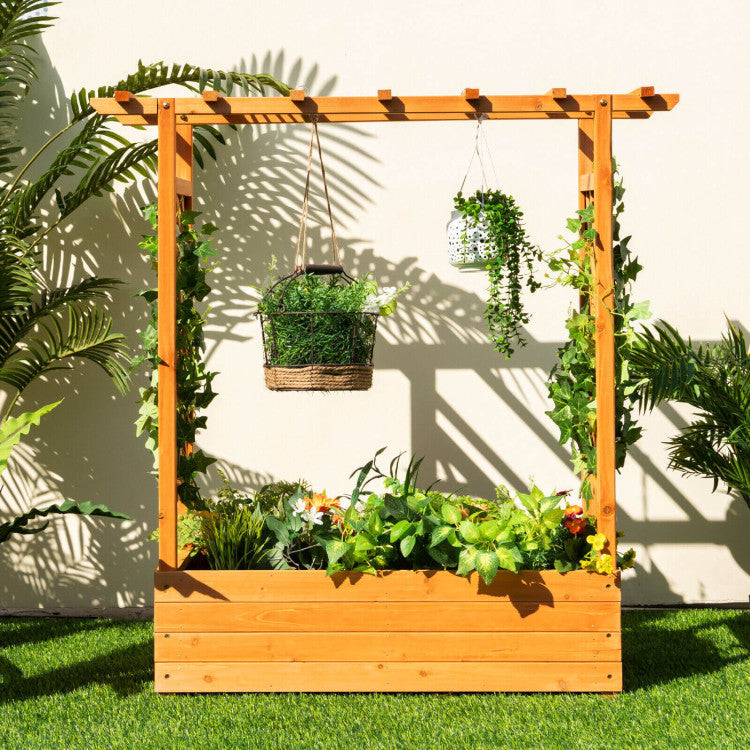 Raised Garden Bed with Trellis for Climbing Plants and Pot Hanging