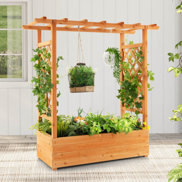 Raised Garden Bed with Trellis for Climbing Plants and Pot Hanging