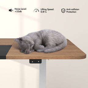 Giantex Electric Height Adjustable Standing Desk, 140cm x 70cm Ergonomic Sit Stand Desk