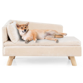 Elevated Pet Bed for Medium & Small-Sized Dogs Puppies Cats Kittens