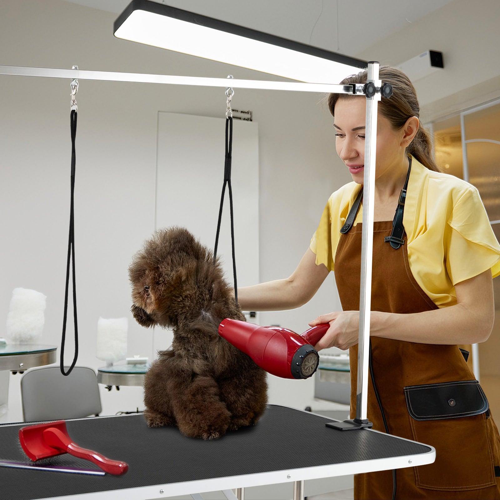 Dog Grooming Table, Foldable Home Pet Bathing Station