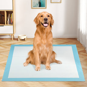 Dog and Puppy Pee Pads, 90 x 90 cm (100 Counts) 6-Layer Leak-Proof Pet Pads