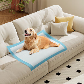 Dog and Puppy Pee Pads, 90 x 90 cm (100 Counts) 6-Layer Leak-Proof Pet Pads