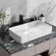 Bathroom Vessel Sink with Pop-up Drain