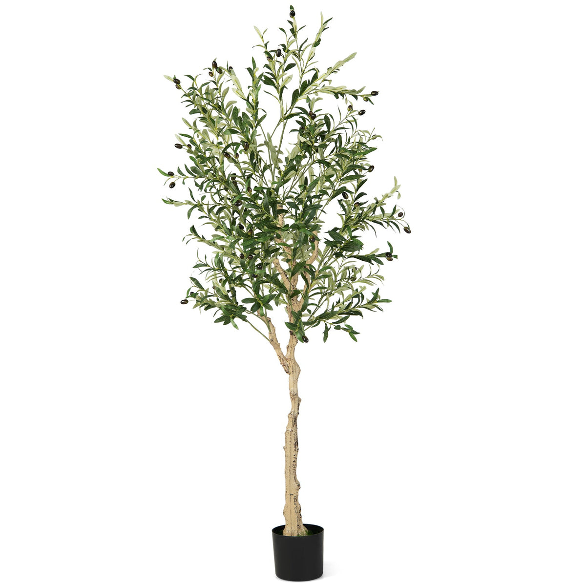 Giantex 182cm 1-Pack Artificial Olive Tree in Cement Pot w/ Leaves & Fruits
