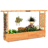 Vertical Plant Container for Vine Climbing Plant Flower