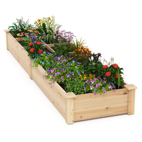 Wooden Raised Garden Bed with 2 Planter Boxes and Dividers
