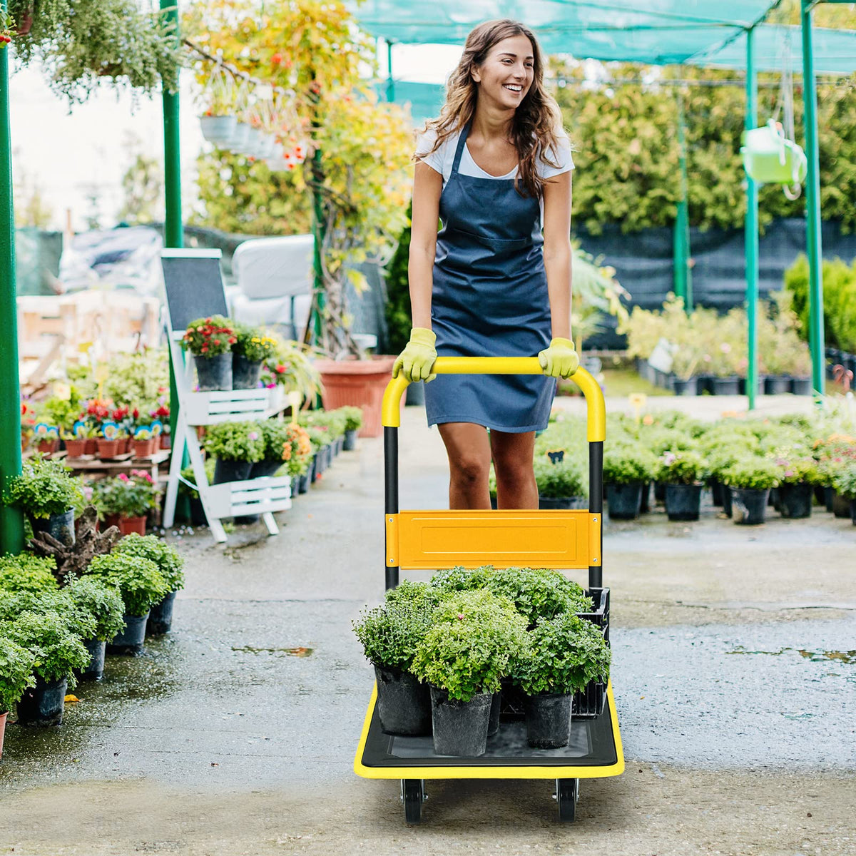 Folding Push Cart Dolly, Moving Hand Truck, Rolling Flatbed Cart for Loading