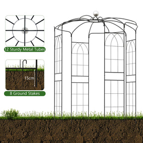 Birdcage Shape Arch,286 cm High x 206cm Wide, Heavy-Duty Wrought Metal Arbor for Climbing Plants
