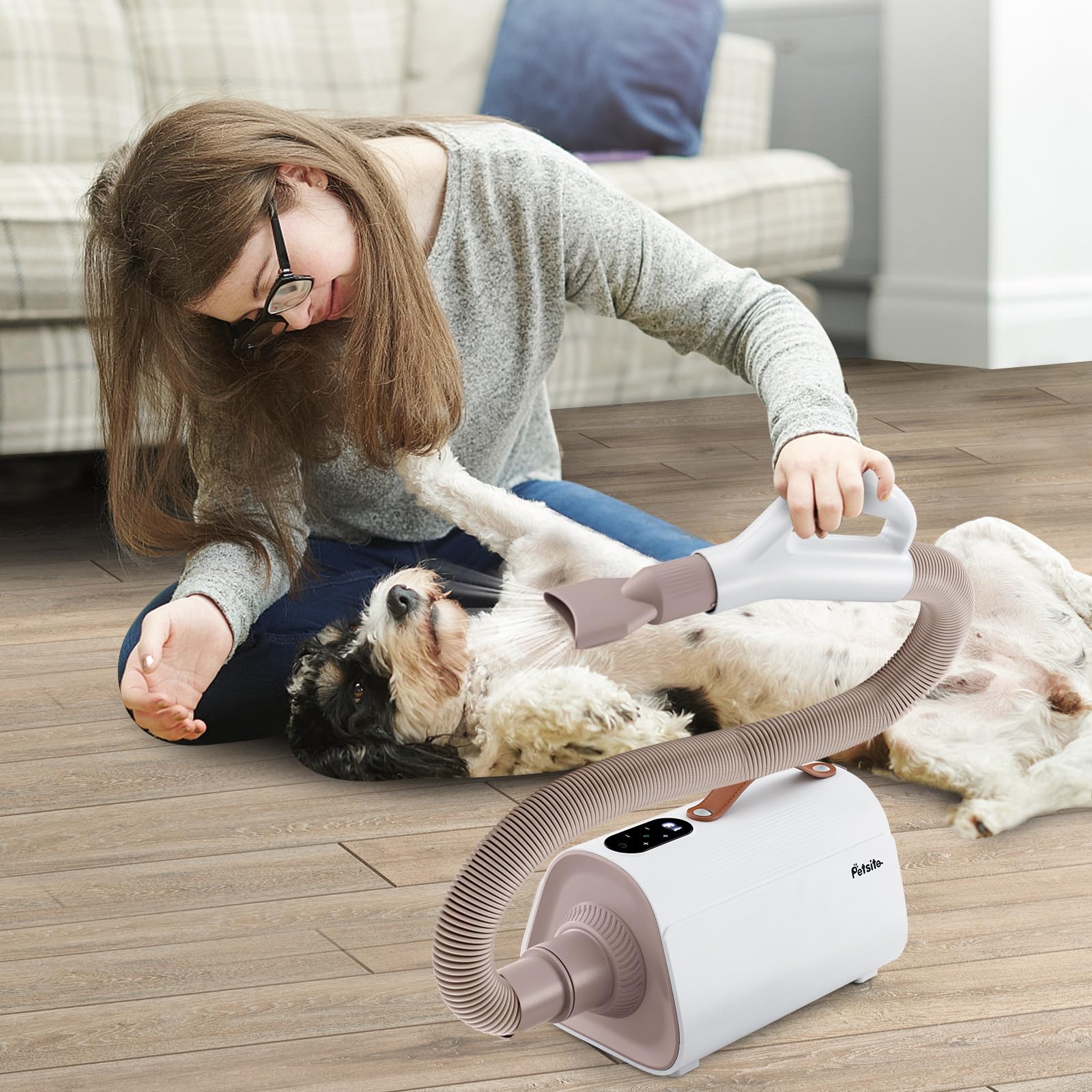 Dog Dryer, Dog Cat Hair Blower with Negative Ion Function, Adjustable Temperature & Airflow