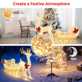 LED Christmas Light, Lighted Reindeer & Santa's Sleigh