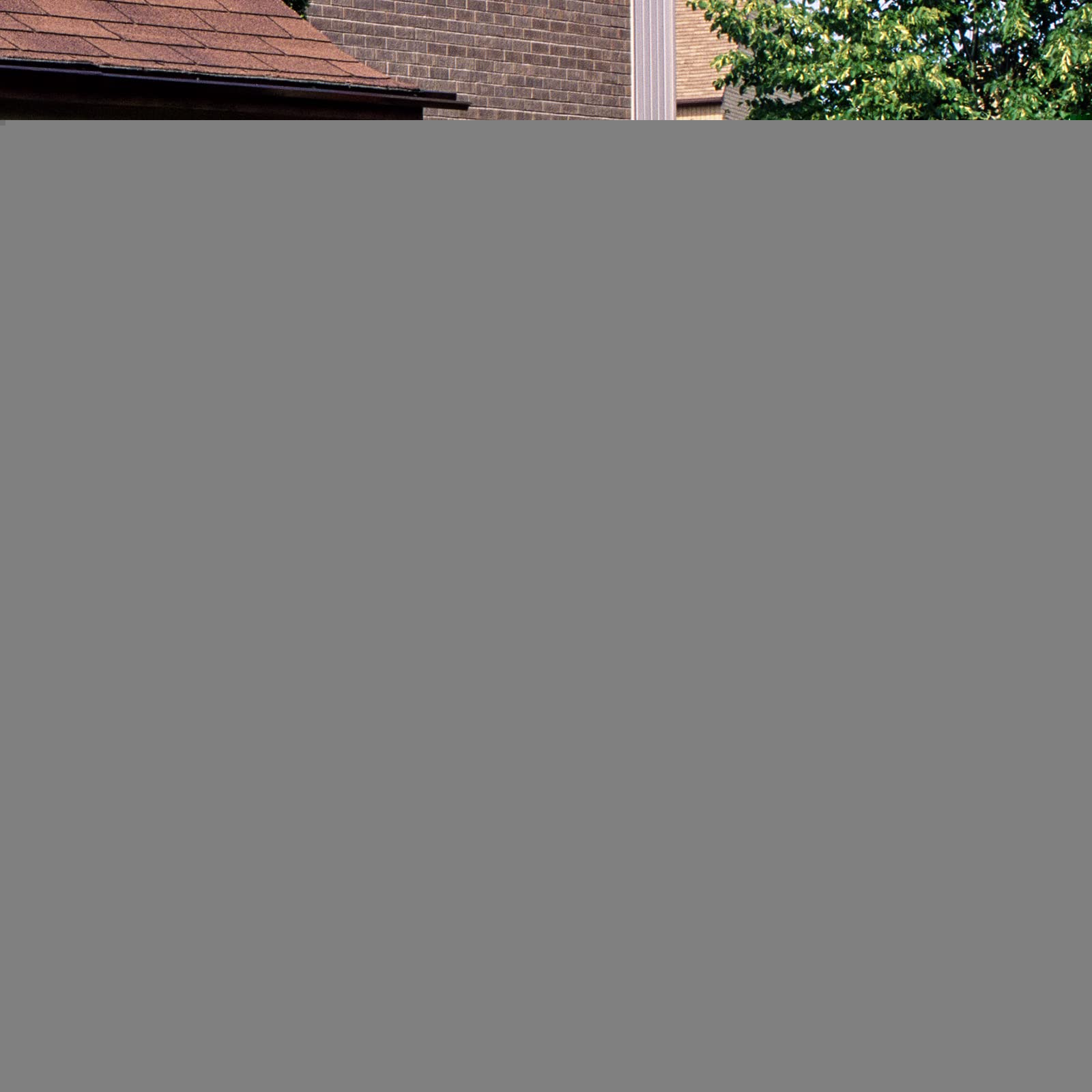 1.6M Outdoor Wooden Storage Shed Solid Wood Garden Tool Cabinet