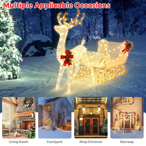 LED Christmas Light, Lighted Reindeer & Santa's Sleigh