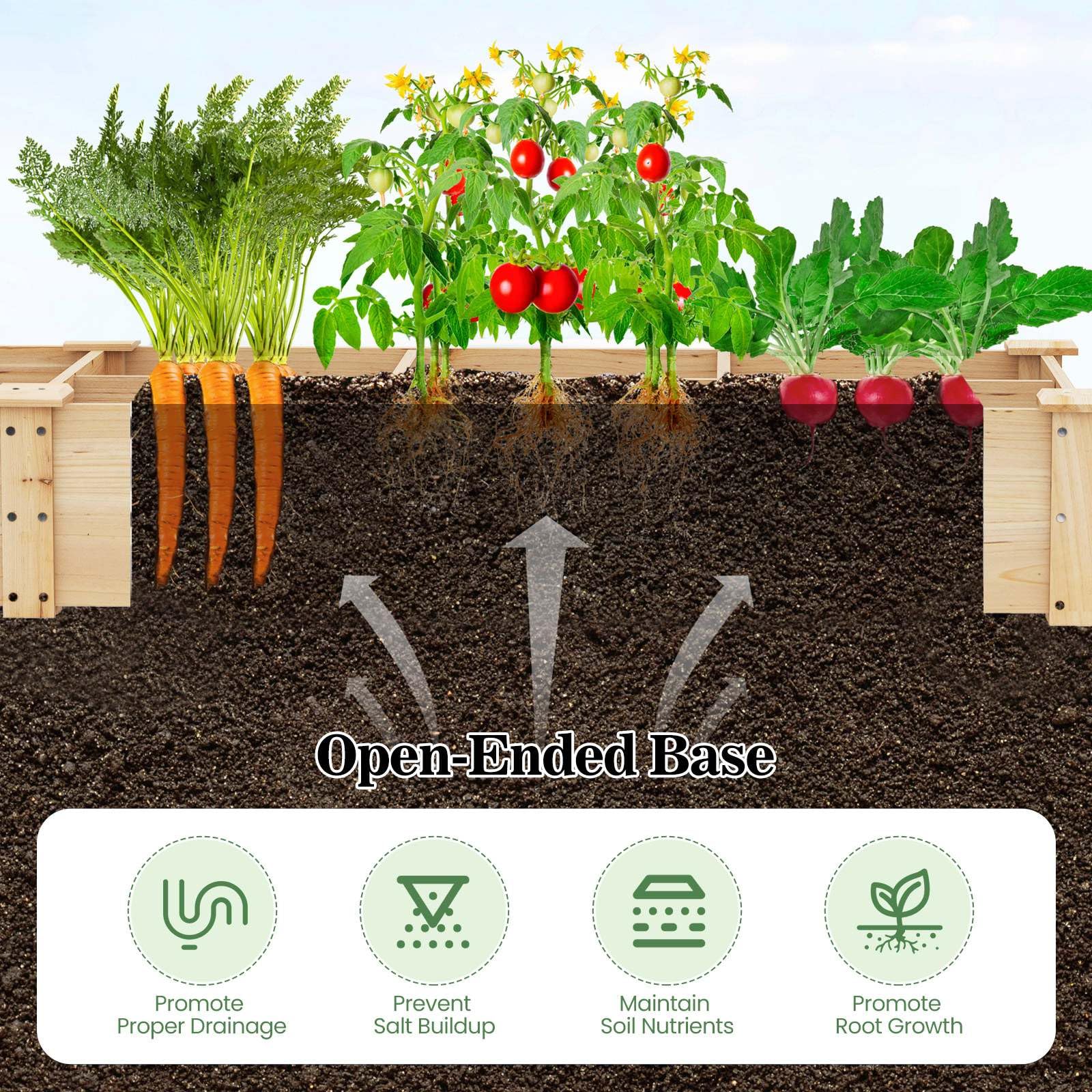 Wooden Raised Garden Bed with 2 Planter Boxes and Dividers