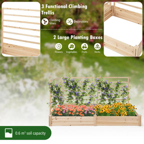 Raised Garden Bed w/ 2 Planter Boxes & 3 Trellis
