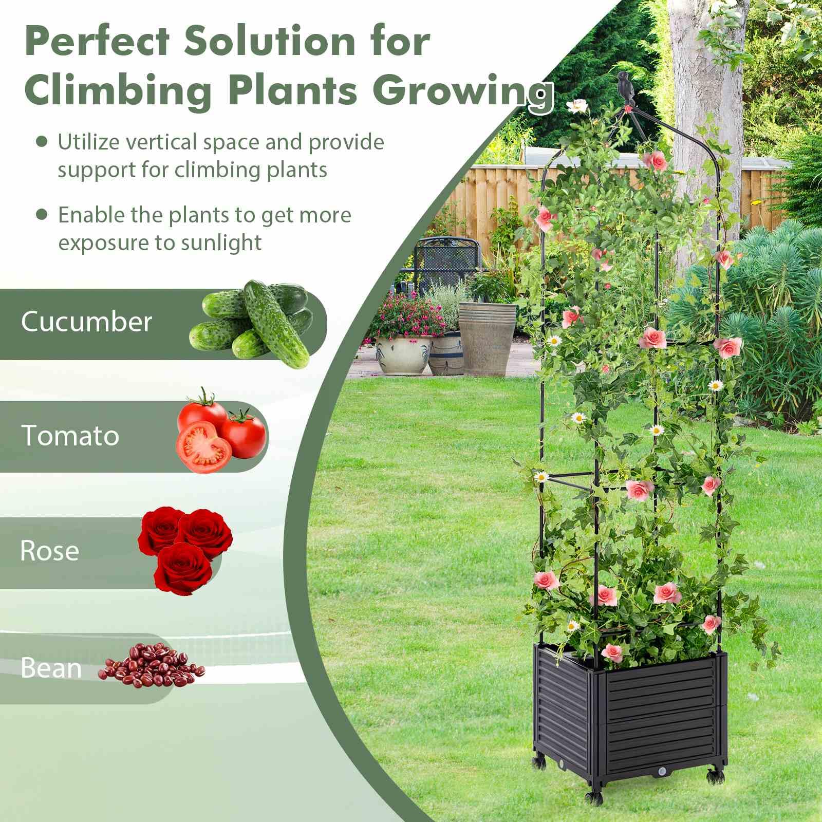 Raised Garden Bed with Trellis, Tomato Cage Planter Box with Self-Drainage & Wheels for Climbing Vines
