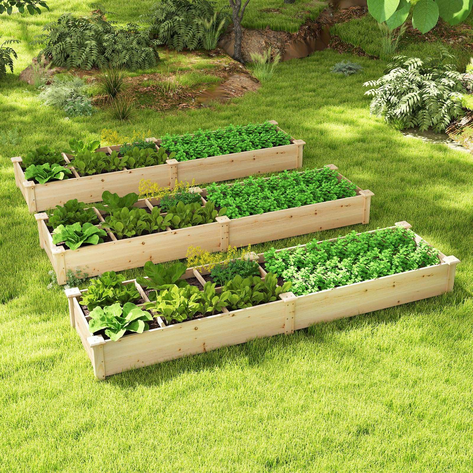 Wooden Raised Garden Bed with 2 Planter Boxes and Dividers