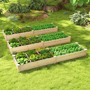 Wooden Raised Garden Bed with 2 Planter Boxes and Dividers