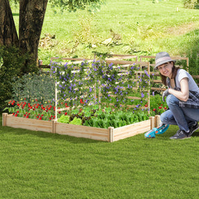 Raised Garden Bed w/ 2 Planter Boxes & 3 Trellis
