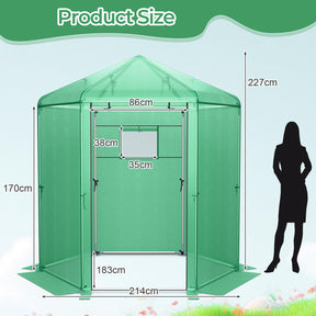 Walk-in Greenhouse, Hexagonal Greenhouse with PE Cover & Metal Frame, Winter Greenhouse with 2-Layered Window & Roll-Up Door